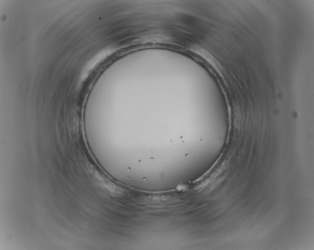 X0000074311115200609152000