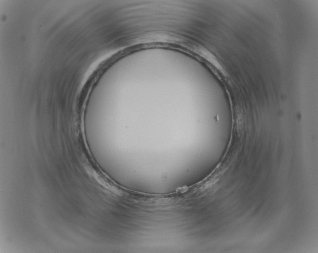 X0000074311116200609152000