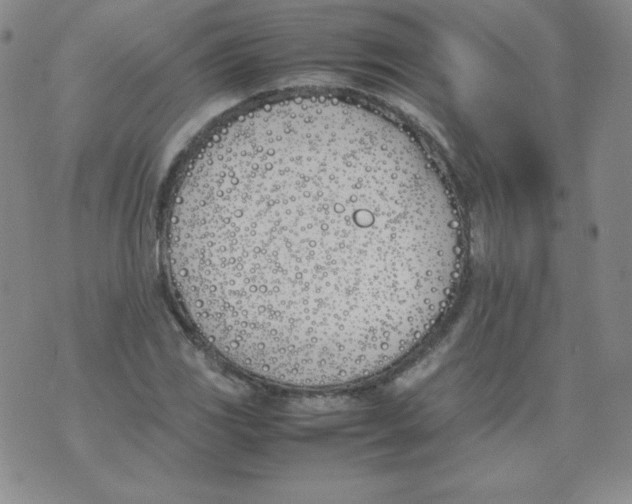 X0000074311117200609152000