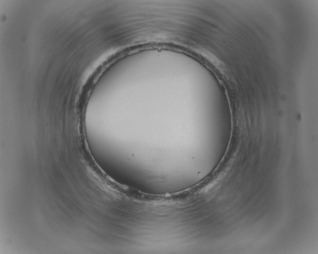 X0000074311118200609152000