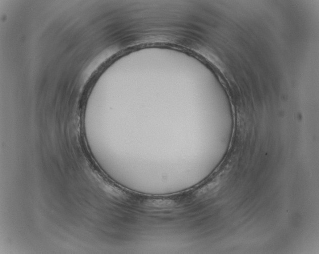 X0000074311119200609152000