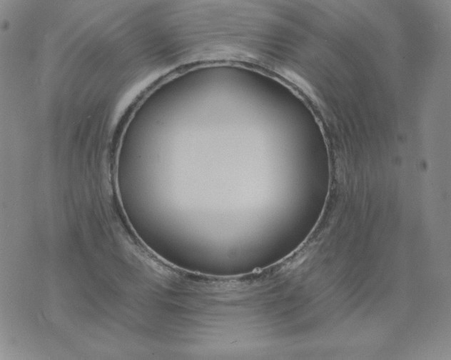 X0000074311120200609152000