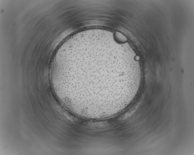 X0000074311121200609152000