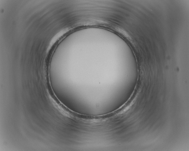 X0000074311122200609152000