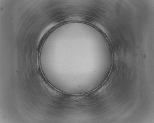 X0000074311123200609152000