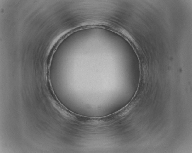 X0000074311124200609152000