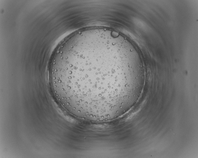 X0000074311125200609152000