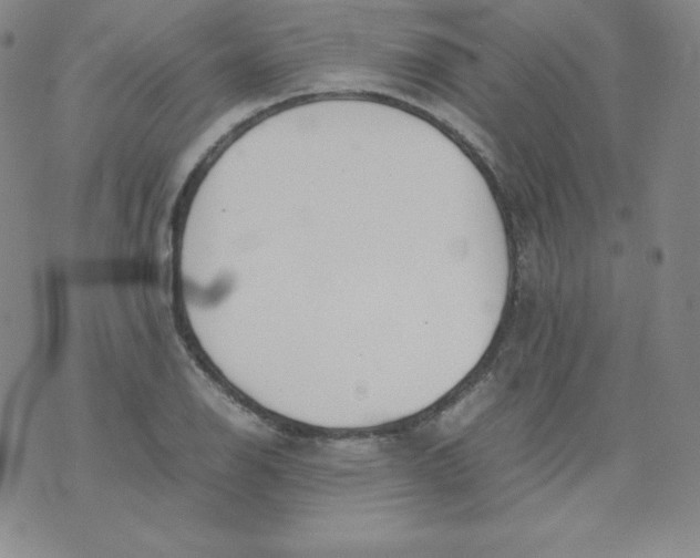 X0000074311126200609152000