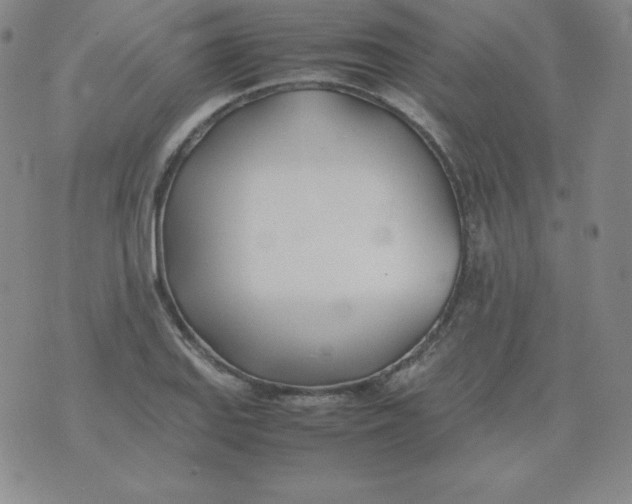 X0000074311127200609152000