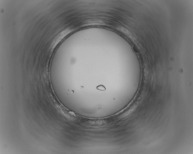 X0000074311129200609152000