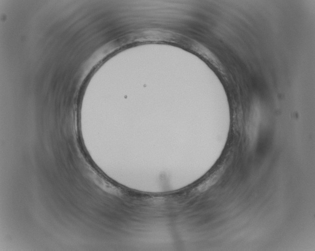 X0000074311130200609152000