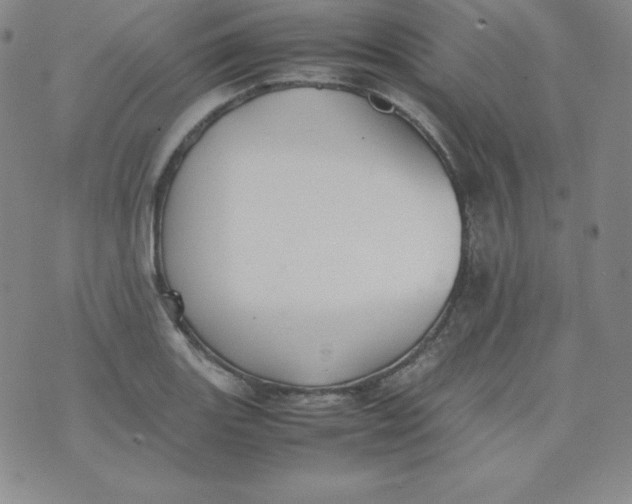 X0000074311131200609152000