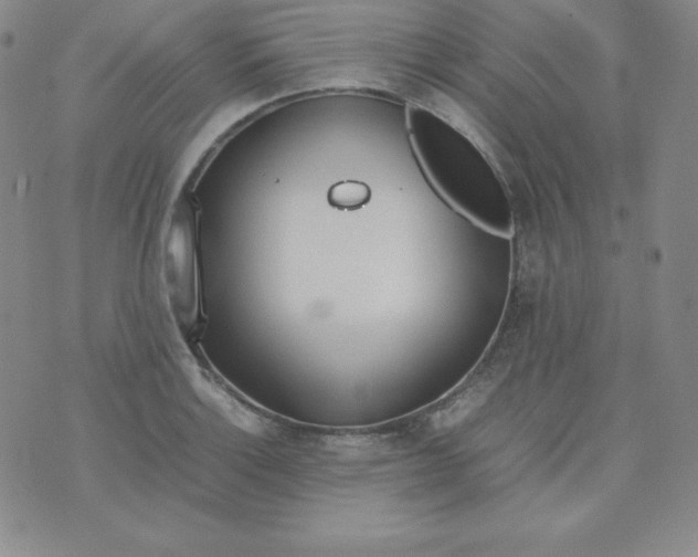 X0000074311132200609152000