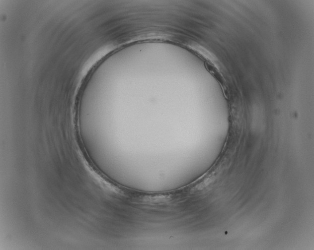 X0000074311135200609152000