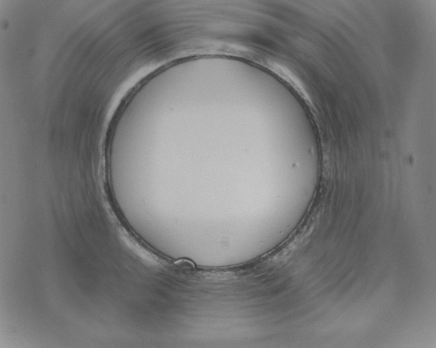 X0000074311136200609152000