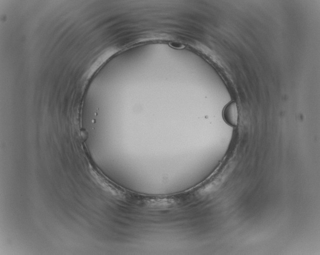 X0000074311137200609152000