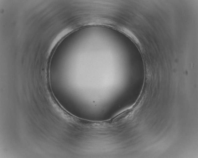 X0000074311138200609152000