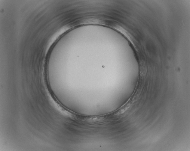 X0000074311139200609152000