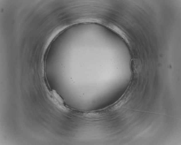 X0000074311140200609152000