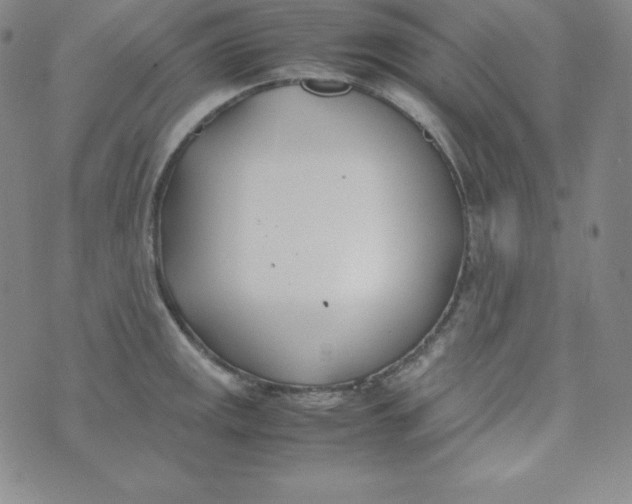 X0000074311141200609152000