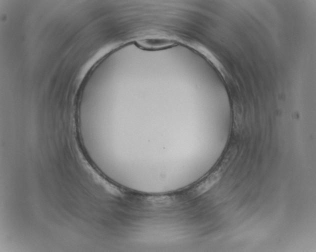 X0000074311142200609152000