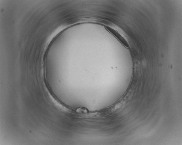 X0000074311143200609152000