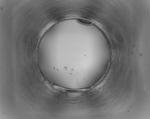 X0000074311145200609152000