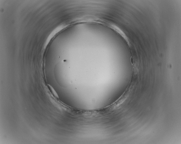 X0000074311146200609152000