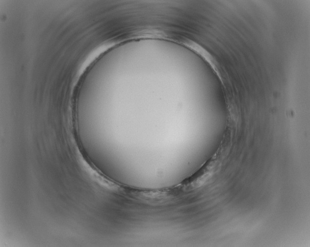 X0000074311147200609152000