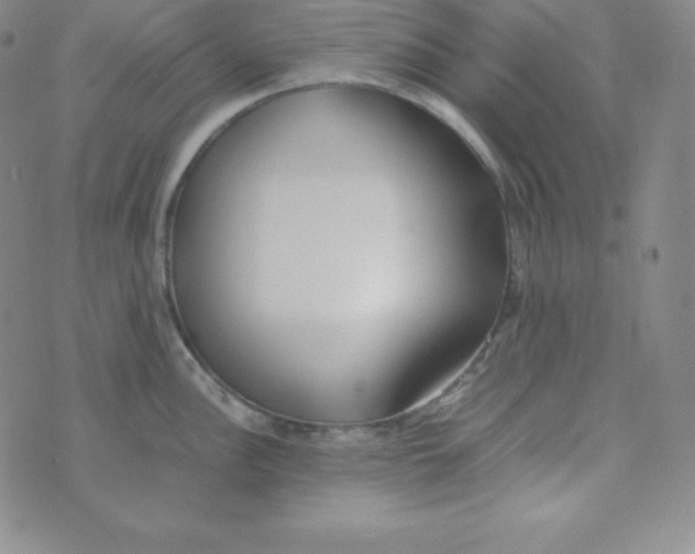 X0000074311148200609152000