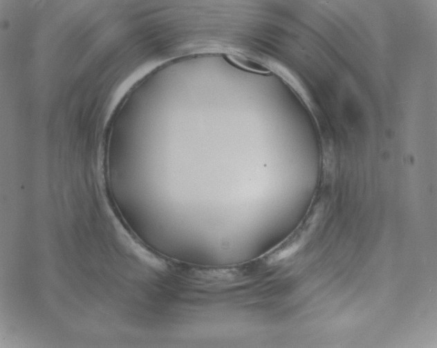 X0000074311149200609152000