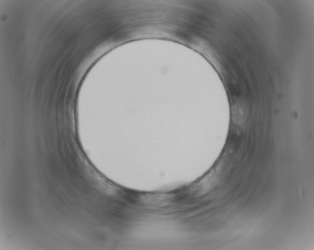 X0000074311150200609152000