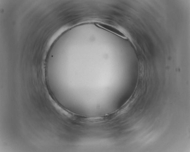 X0000074311151200609152000