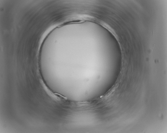 X0000074311152200609152000