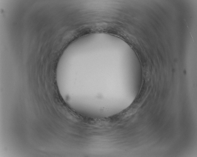 X0000074311153200609151959