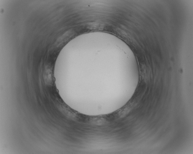 X0000074311154200609151959