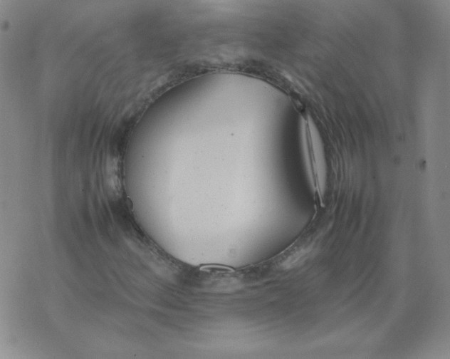 X0000074311156200609151959