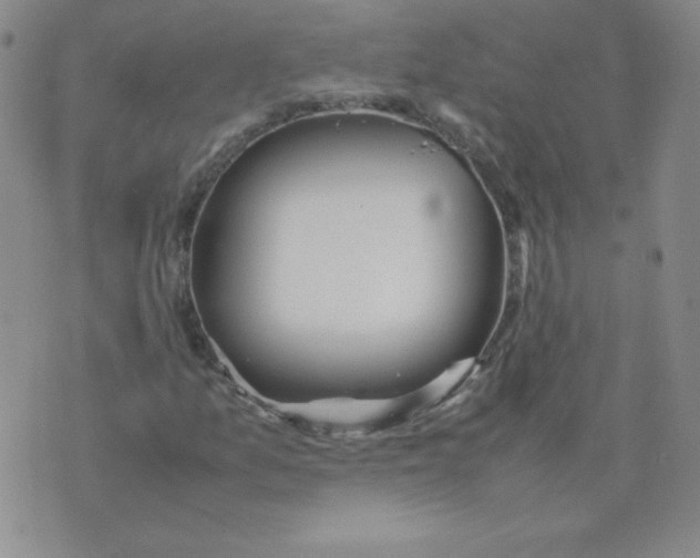 X0000074311157200609151959