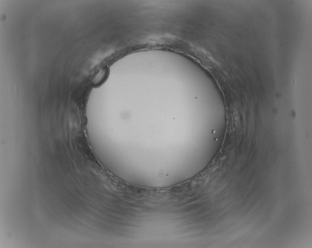 X0000074311158200609151959