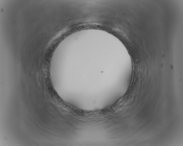 X0000074311159200609151959