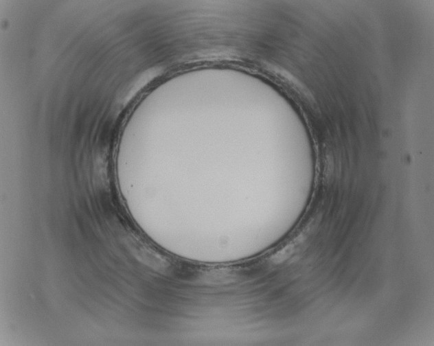 X0000074311162200609151959