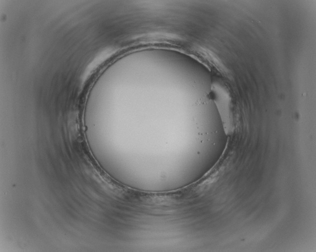 X0000074311164200609151959