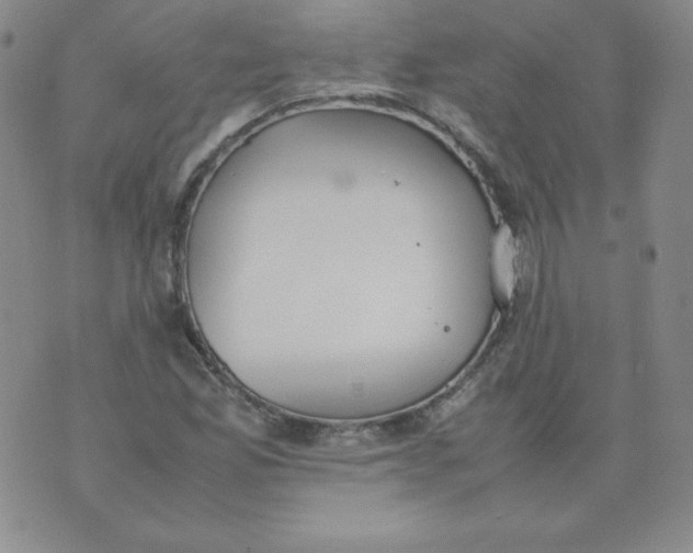 X0000074311165200609151959