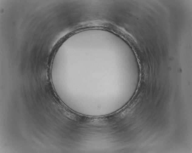 X0000074311166200609151959