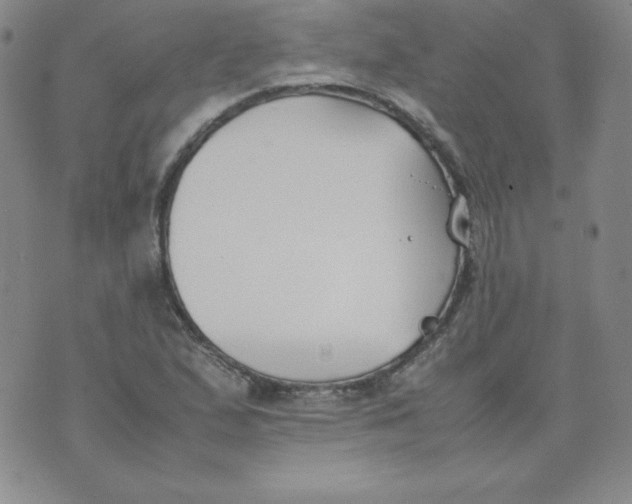 X0000074311167200609151959