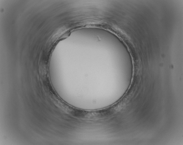 X0000074311169200609151959