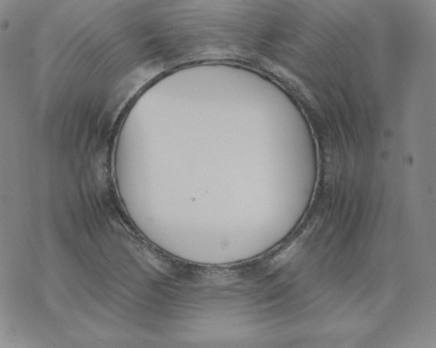 X0000074311170200609151959