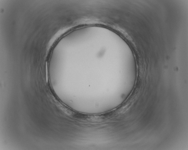 X0000074311175200609151959