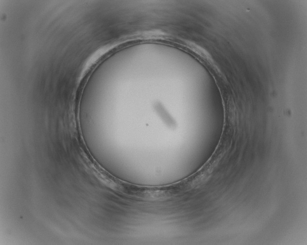 X0000074311176200609151959