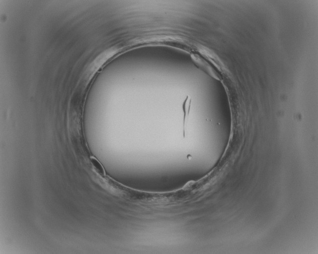 X0000074311177200609151959